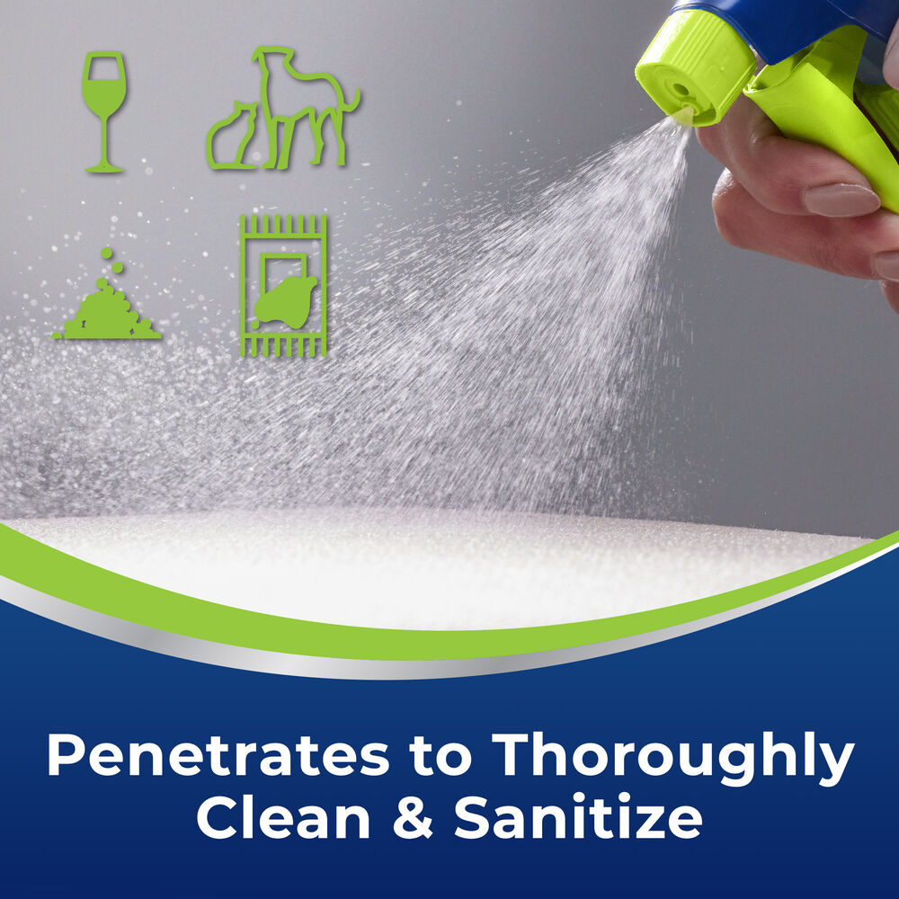 Woolite Advantage Pet Stain & Odor Remover + Sanitize 3327